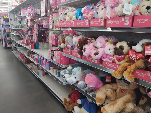 Home Goods Store «Dollar General», reviews and photos, 2640 E Orange Ave, Eustis, FL 32726, USA