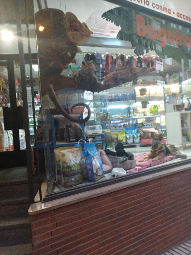 Peluquería canina Baguira - Soria