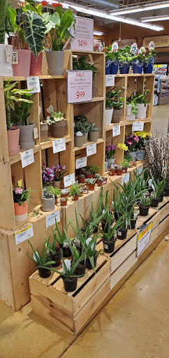 Grocery Store «Fresh Thyme Farmers Market- Naperville», reviews and photos, 790 Royal St George Dr, Naperville, IL 60563, USA