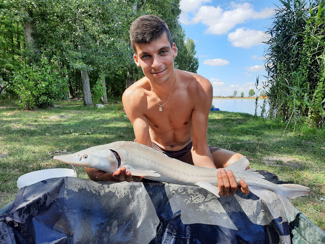 Izsáki Horgász- és Pihenőpark, kemping, fürdőhely, szállás - Izsák