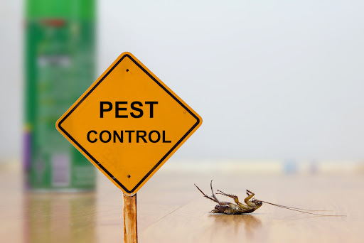Pro Pest Control Exterminators