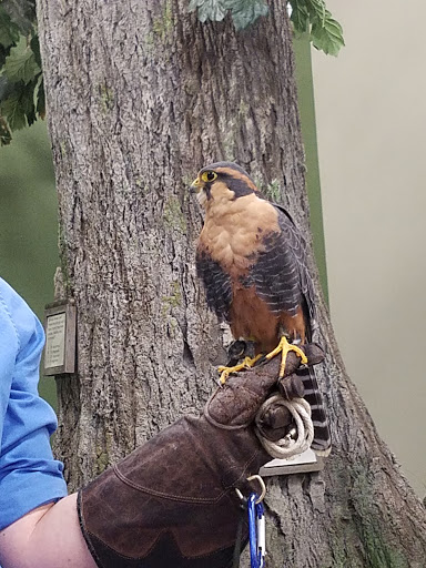 Nature Preserve «Carpenter Nature Center», reviews and photos, 12805 St Croix Trail S, Hastings, MN 55033, USA