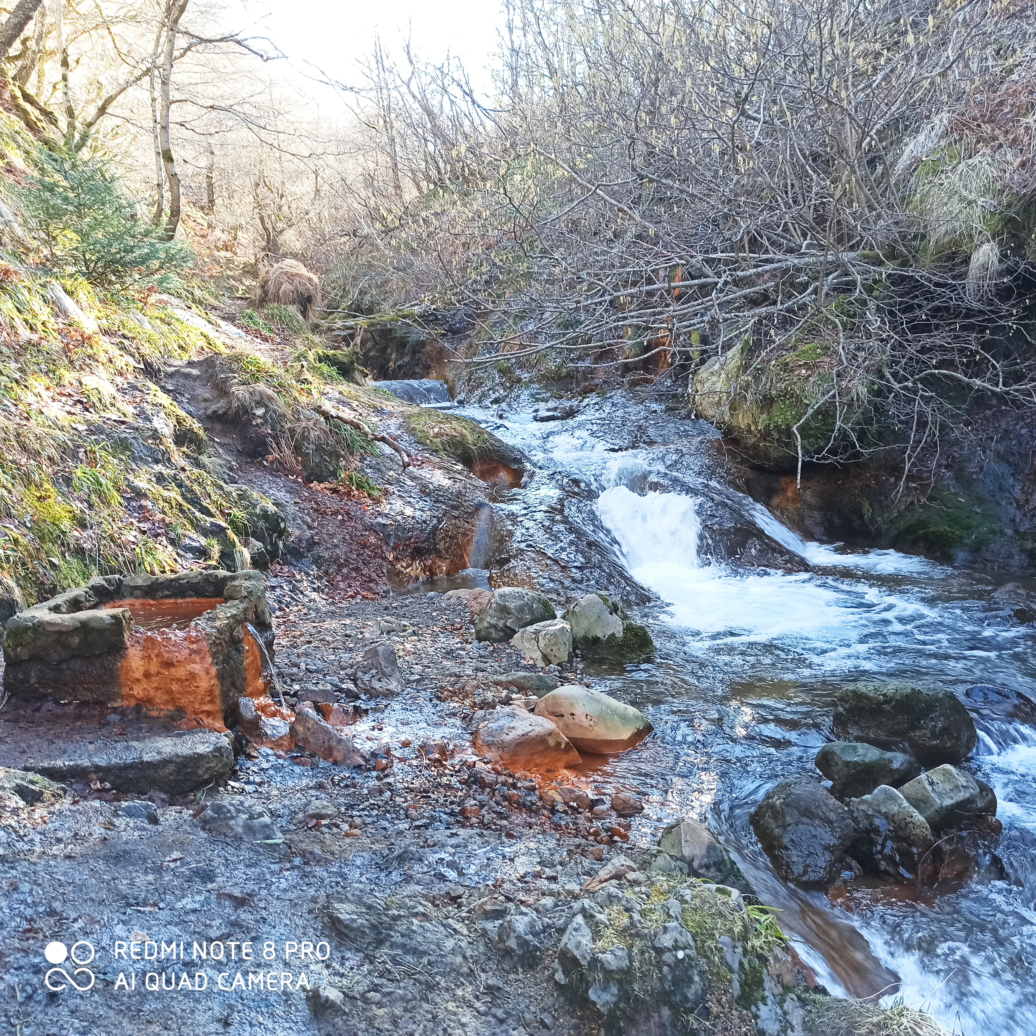 Photo n° 1 de l'avis de Nelchael.O fait le 22/02/2020 à 18:12
