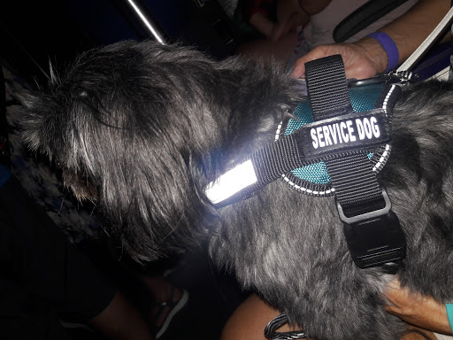 Cosmetics Store «MAC Cosmetics», reviews and photos, 1530 Buena Vista Dr #1b, Lake Buena Vista, FL 32830, USA