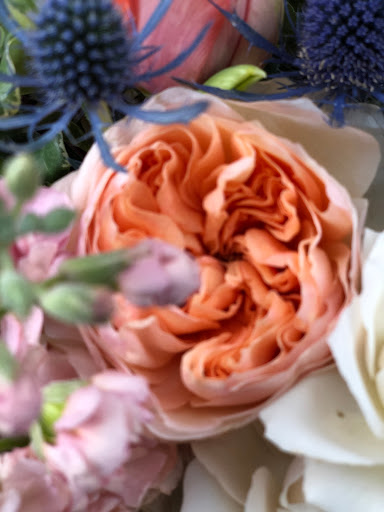 Florist «Sellwood Flower Company», reviews and photos, 8215 SE 13th Ave, Portland, OR 97202, USA