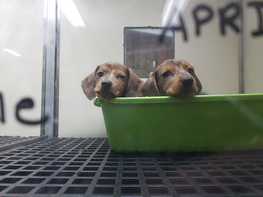 Pet Store «Valley Pets», reviews and photos, 6380 US-85, Fountain, CO 80817, USA