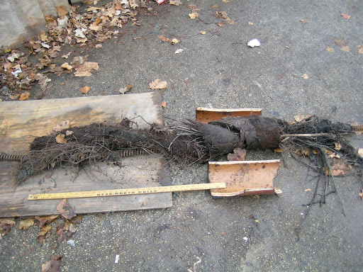 Plumber «Ravinia Plumbing & Heating Co., Inc.», reviews and photos