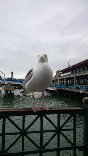 Book Store «Book Passage», reviews and photos, 1 Ferry Building # 42, San Francisco, CA 94111, USA