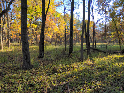 Nature Preserve «Raven Glen Forest Preserve», reviews and photos, 41080 US-45, Antioch, IL 60002, USA