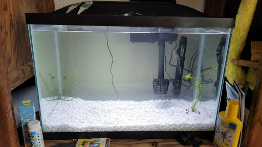 Pet Store «Oasis Tropicals», reviews and photos, 507 Commerce St, Pleasanton, TX 78064, USA