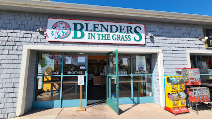 Blenders In The Grass - Mesa