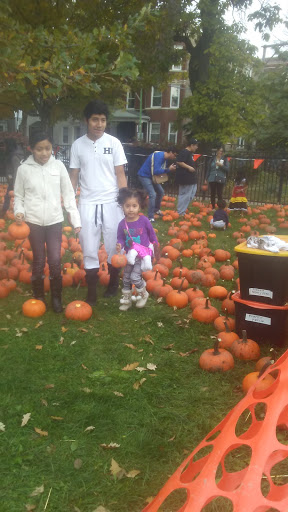 Park «Unity Playlot Park», reviews and photos, 2636 N Kimball Ave, Chicago, IL 60647, USA