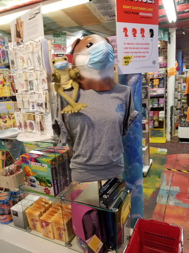 Art Supply Store «Artist & Craftsman Supply Charleston Downtown», reviews and photos, 143 Calhoun St, Charleston, SC 29401, USA