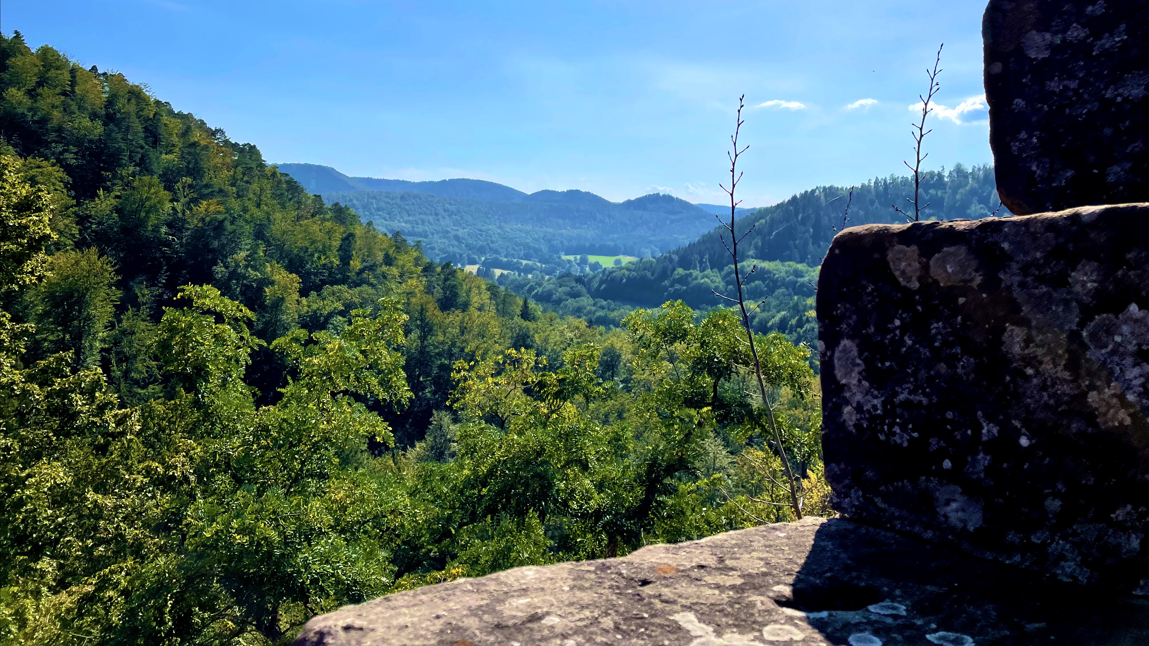Photo n° 3 de l'avis de Tobi.s fait le 12/09/2021 à 23:40