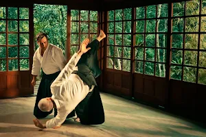 Академия АЙКИДО. Club Aikido. Восточные единоборства, борьба image