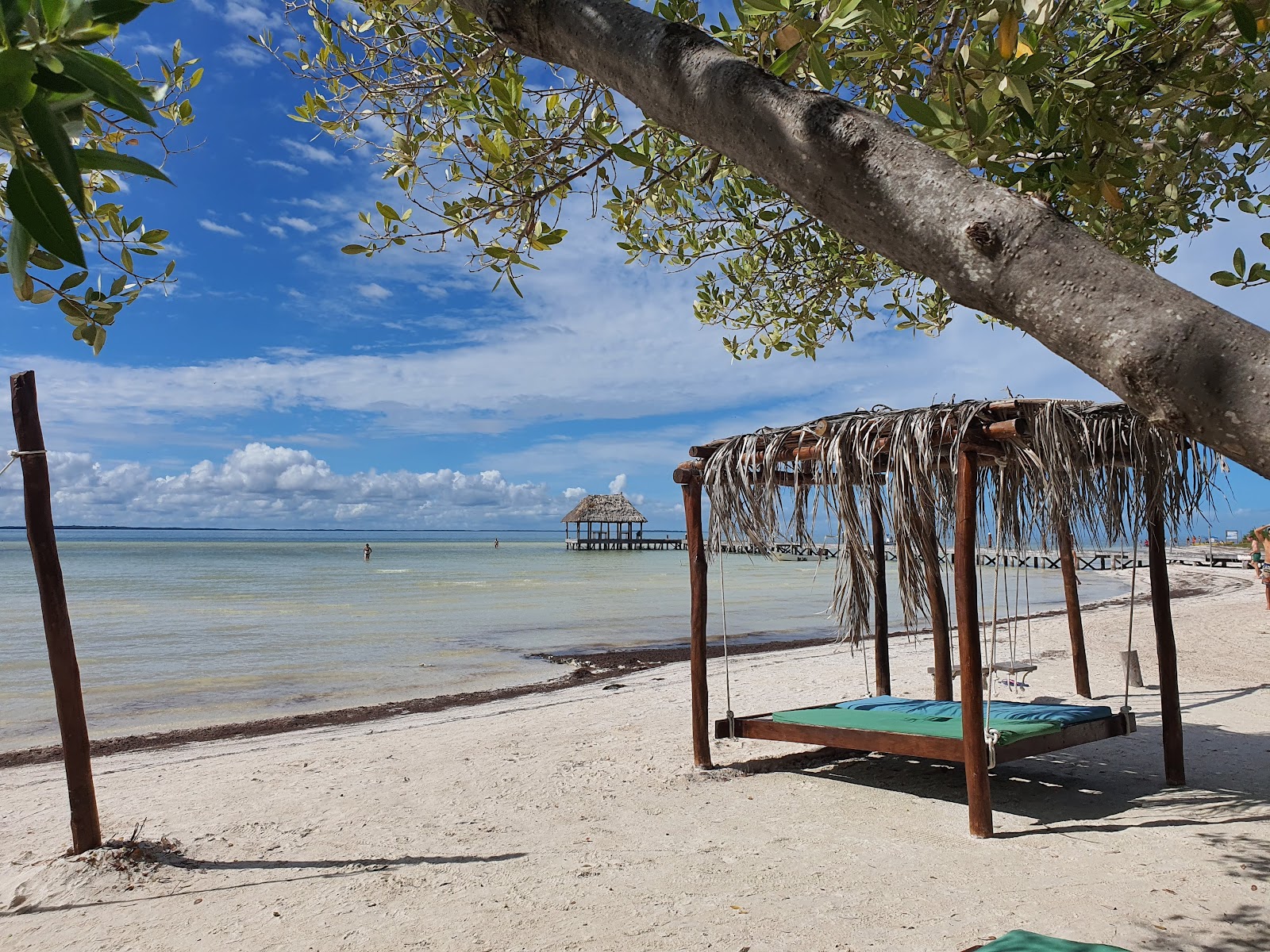 Foto von Playa Punta Cocos mit geräumiger strand