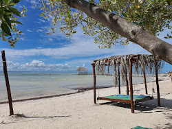 Playa Punta Cocos'in fotoğrafı çok temiz temizlik seviyesi ile