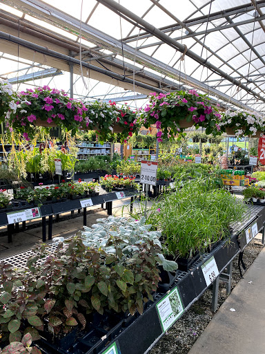 Garden Center «Stauffers of Kissel Hill Home & Garden Store», reviews and photos, 4450 Lincoln Hwy, York, PA 17406, USA