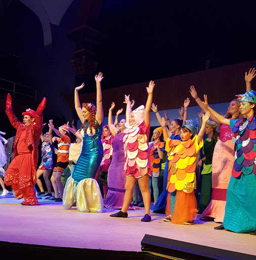 Performing Arts Theater «Schenectady Light Opera Co», reviews and photos, 427 Franklin St, Schenectady, NY 12305, USA