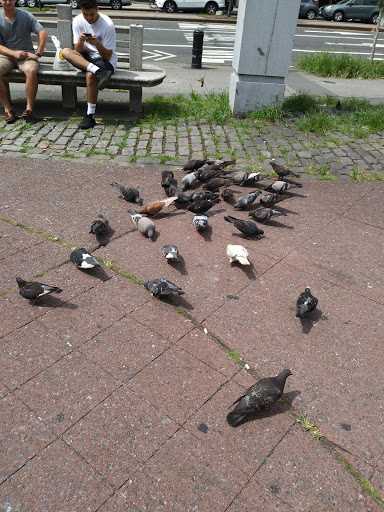 Park «Columbus Park», reviews and photos, 67 Mulberry St, New York, NY 10013, USA