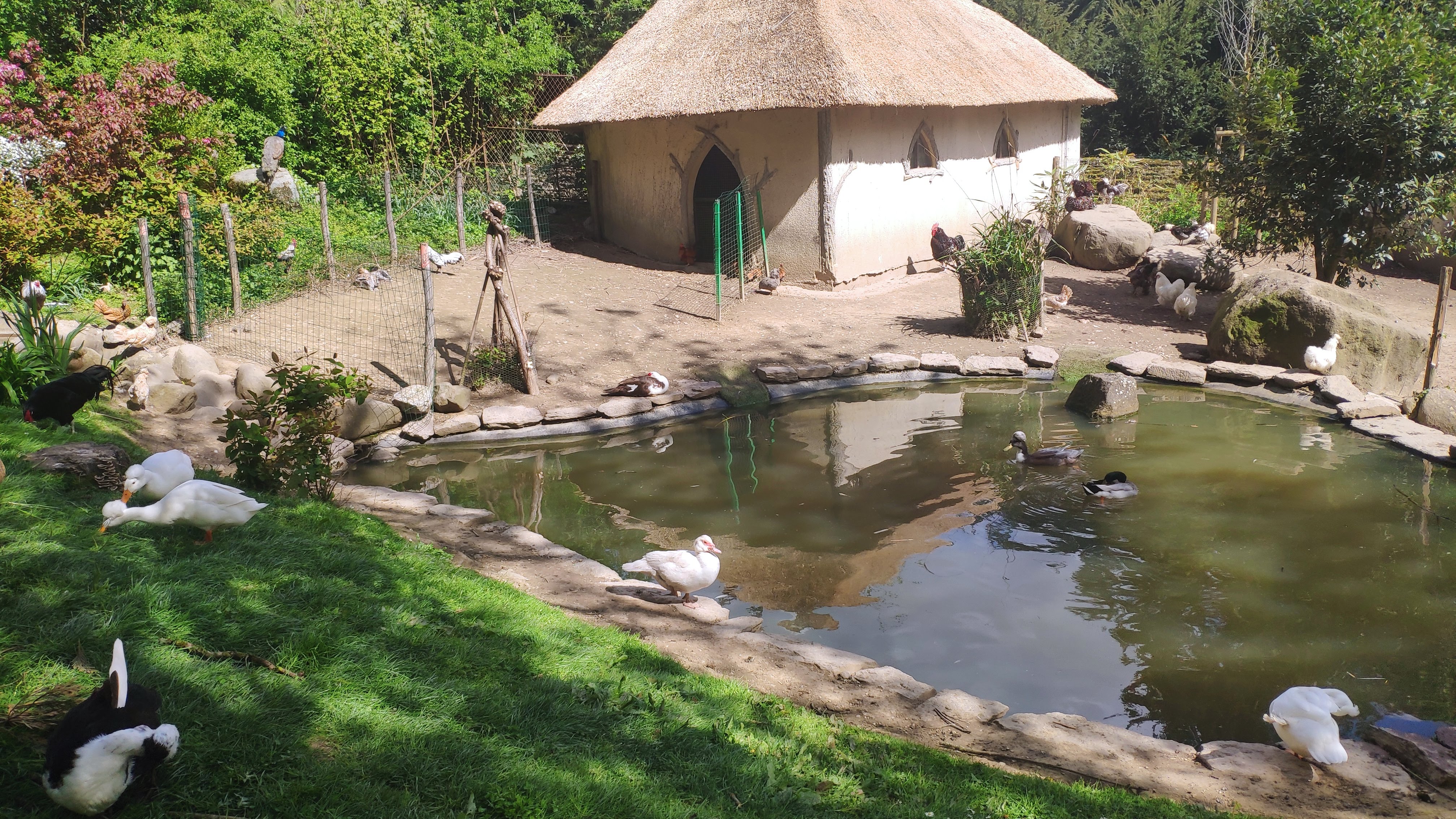 Photo n° 5 de l'avis de laurent.e fait le 17/04/2019 à 13:38