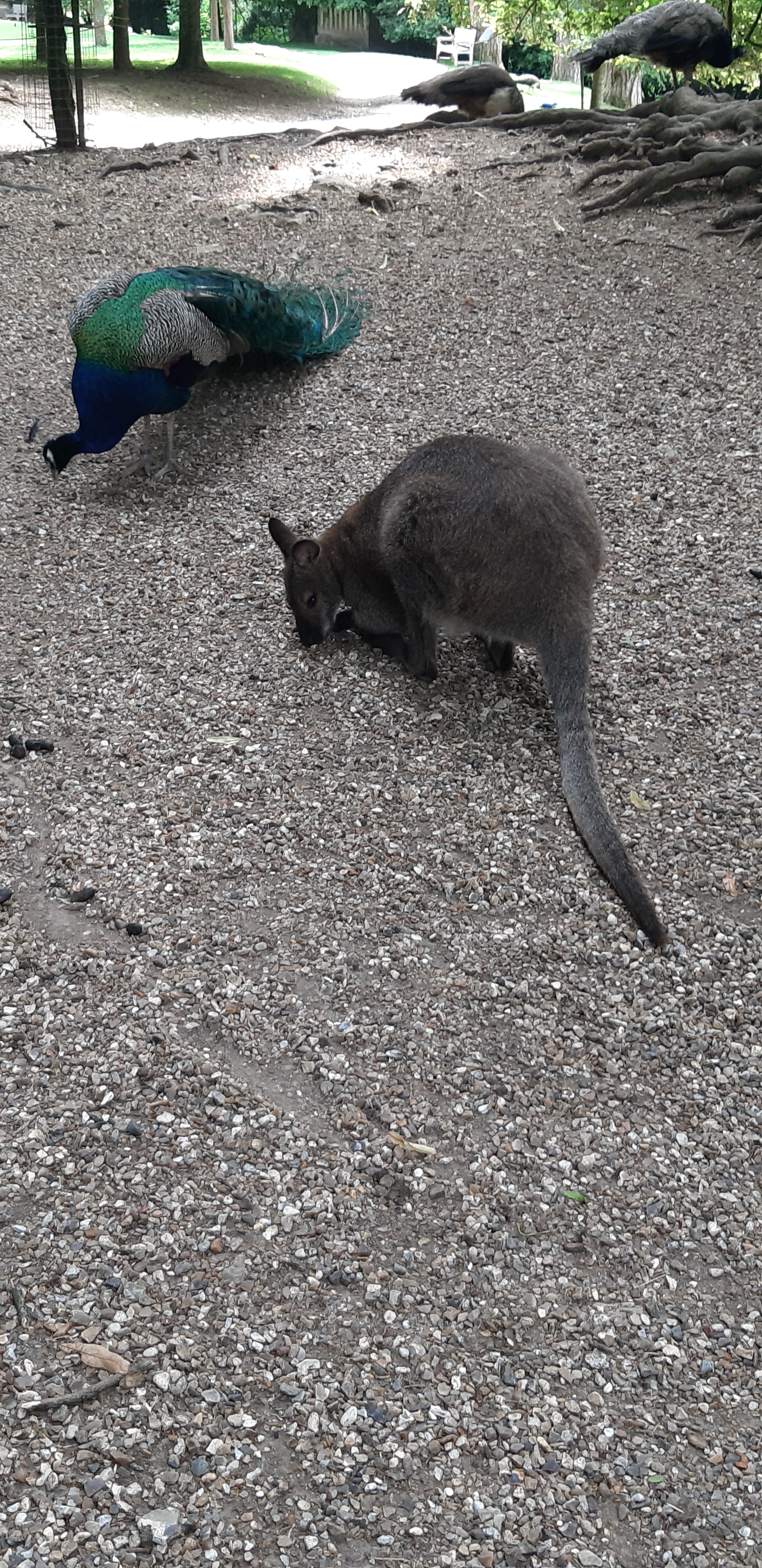 Photo n° 1 de l'avis de Jean.u fait le 30/06/2023 à 14:12