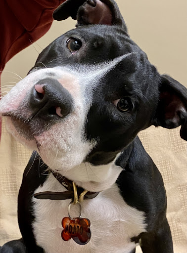 8016 Cumming Hwy, Canton, GA 30115, USA