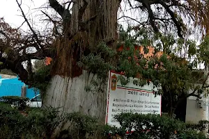 Bicentennial Plaza Sor Juana Ines de la Cruz image