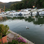 Photo n°11 de l'avis de Ivan.i fait le 13/06/2019 à 19:19 sur le  Bar Trattoria Al Ponte à Santa Liberata