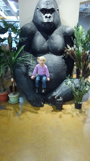 Furniture Store «Ashley HomeStore», reviews and photos, 251 Mundy St, Wilkes-Barre, PA 18702, USA