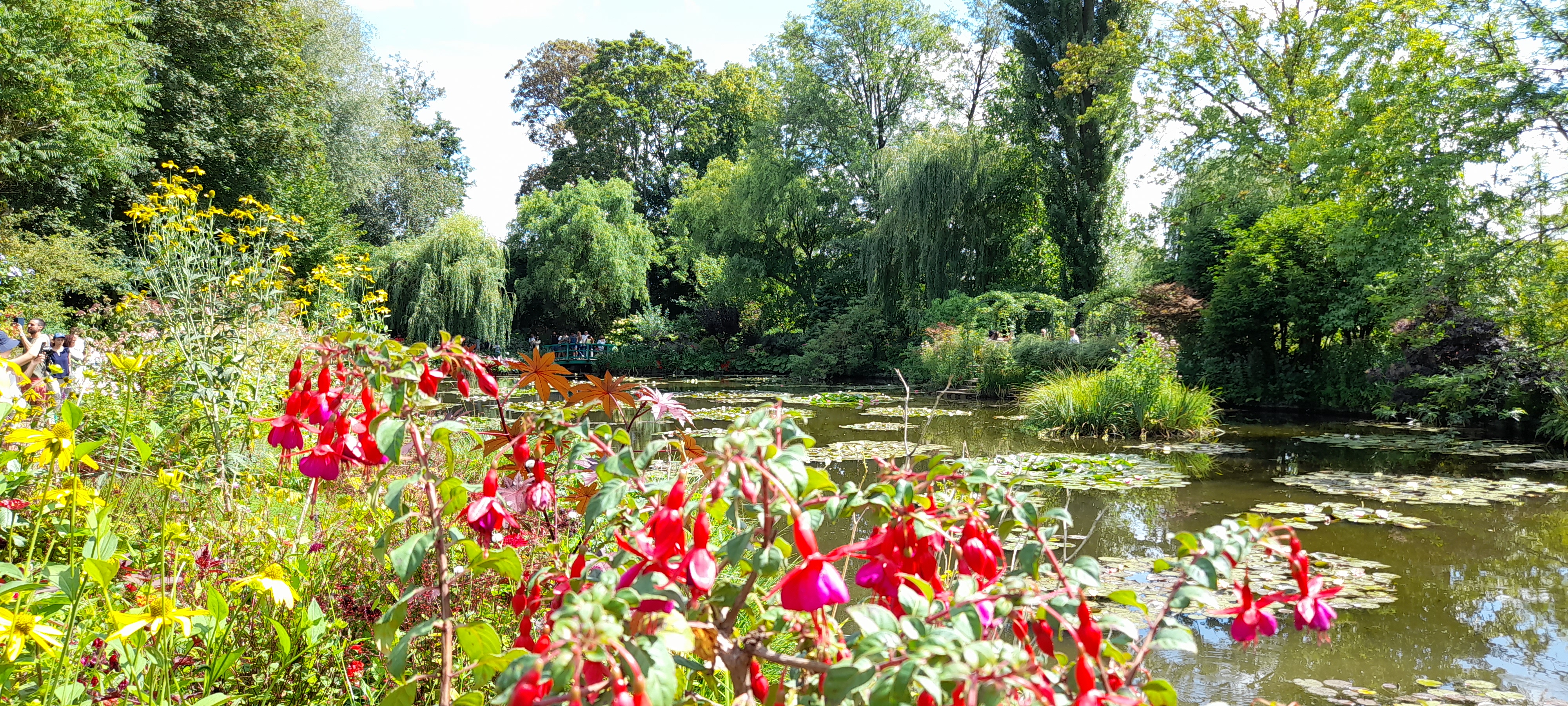Photo n° 1 de l'avis de eric.a fait le 14/08/2023 à 14:27
