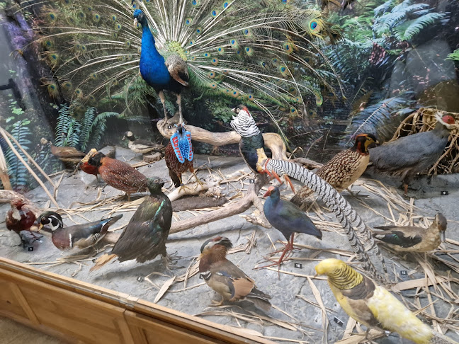 Градска градина от 1878 година Работно време