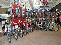 Trek Bike Shop of Estero - Photo 5 - Car repair in Estero, FL, Bonita Springs