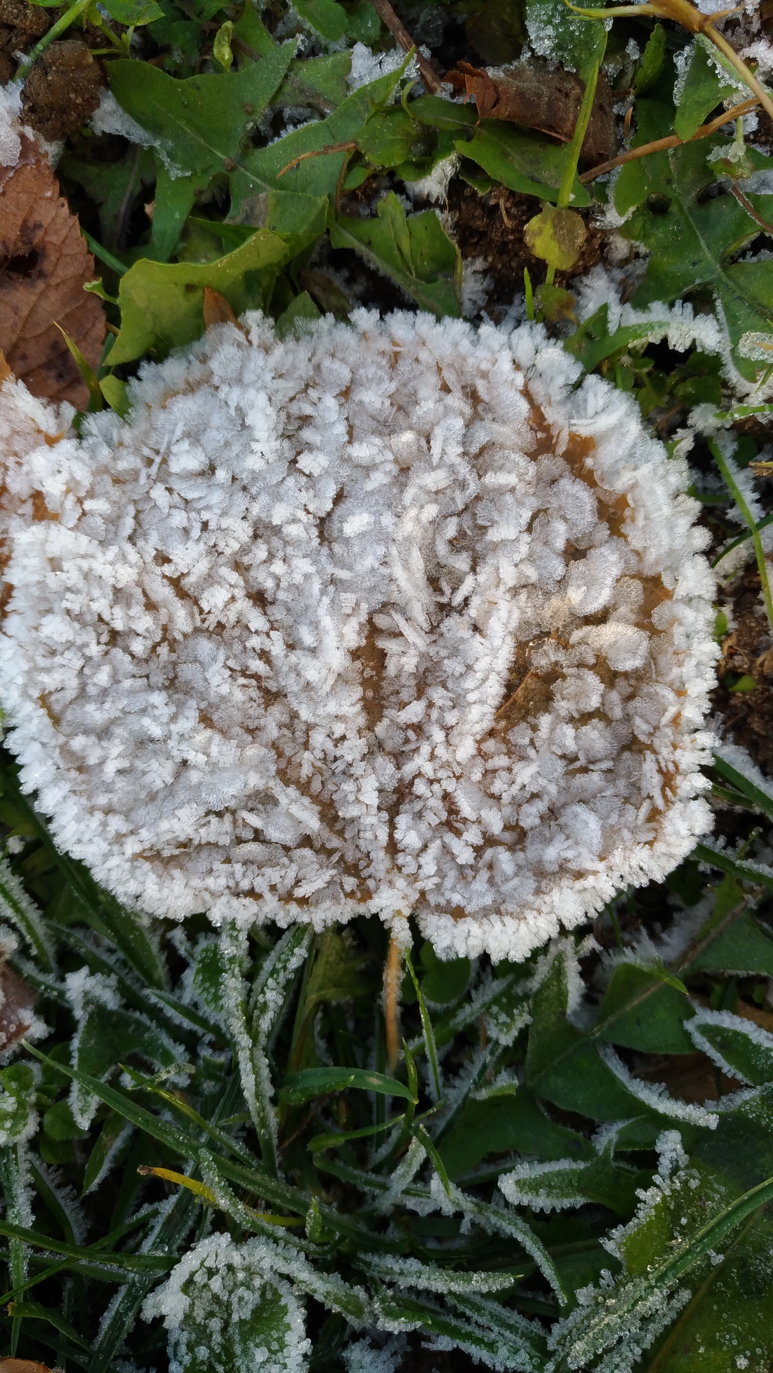 Photo n° 27 de l'avis de Chrystelle.e fait le 21/04/2019 à 16:16