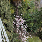 Photo n°8 de l'avis de WHODARESWINS. fait le 03/09/2019 à 14:41 sur le  The Villa Sanantonio à Lesa