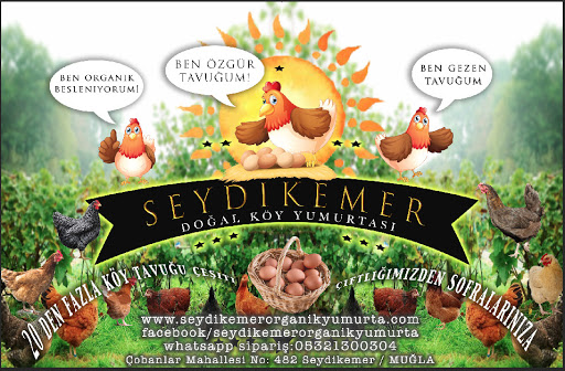 Seydikemer Organik Yumurta Doğal Organik Köy Tavuğu Yumurtası