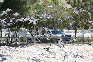 Hidden Lake Park - photo 81