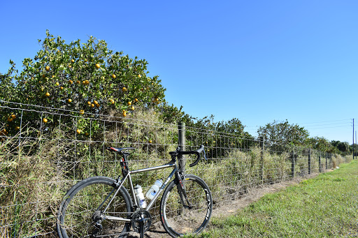 Bicycle Store «Full Circle Cycle», reviews and photos, 2445 S Hiawassee Rd, Orlando, FL 32835, USA