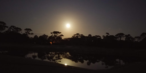 Private Golf Course «Adios Golf Course», reviews and photos, 7740 NW 39th Ave, Coconut Creek, FL 33073, USA