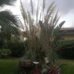 Photo n°2 de l'avis de MariaLuisa.i fait le 24/08/2021 à 12:03 sur le  A Caseja Trattoria à Località Piana di Vadi