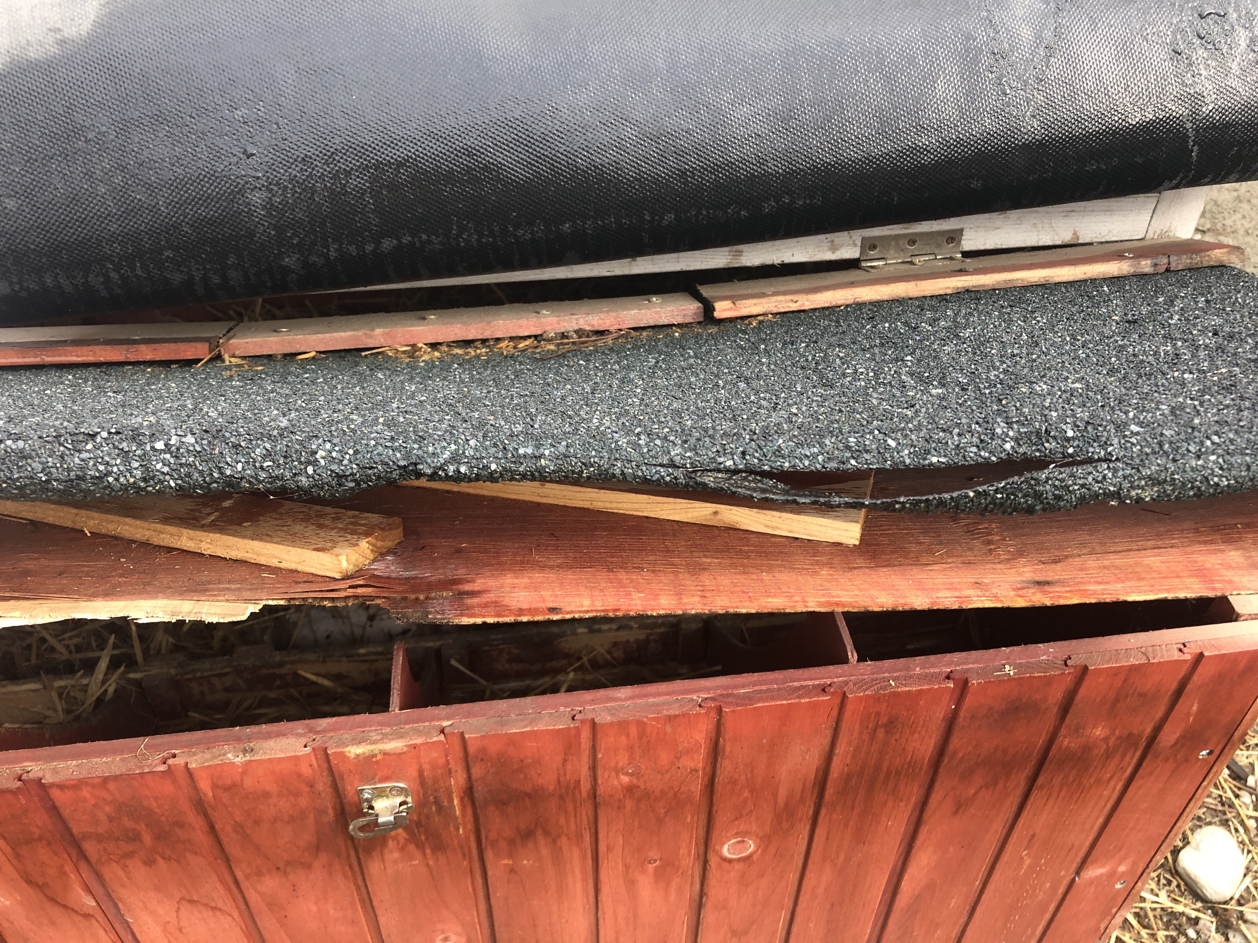 Photo n° 1 de l'avis de Mathieu.r fait le 17/08/2020 à 06:46