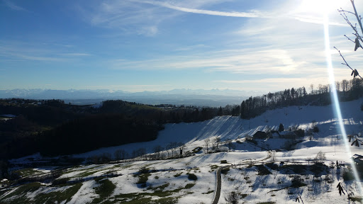 site_photo2