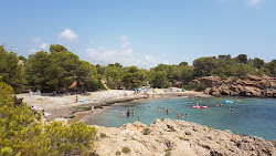 Photo de Cala Estany Podrit zone sauvage