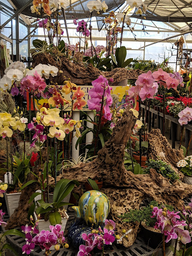 Hardware Store «Proctor Ace Hardware», reviews and photos, 1281 Atlantic Blvd, Neptune Beach, FL 32266, USA