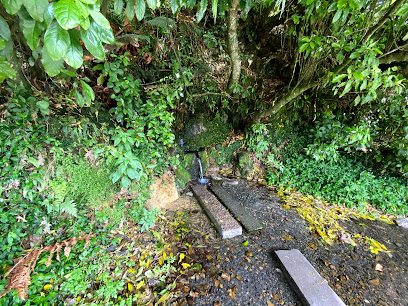 Kaimai water spring