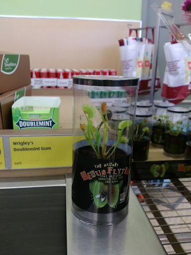 Supermarket «ALDI», reviews and photos, 1500 N 8th St, Vandalia, IL 62471, USA