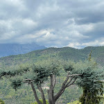 Photo n°2 de l'avis de Abuela.a fait le 07/10/2022 à 14:55 sur le  La Pineta à Bajardo