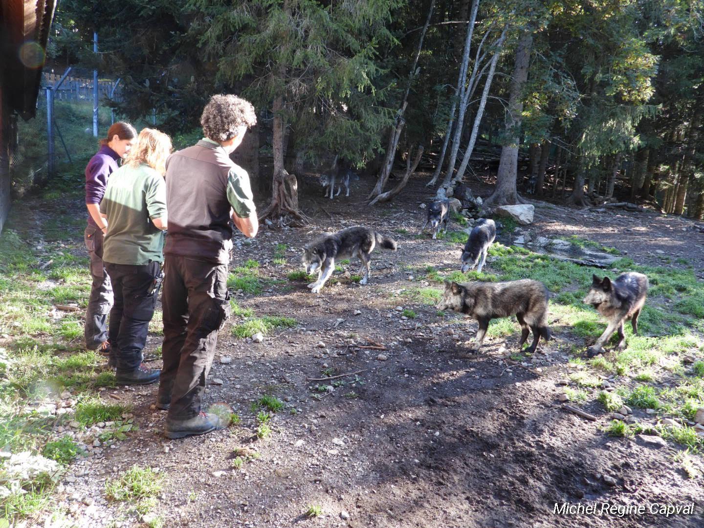 Photo n° 39 de l'avis de michel.a fait le 03/10/2019 à 13:25