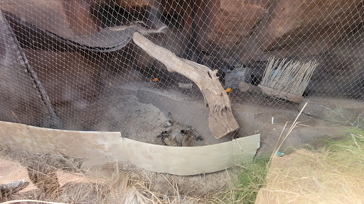 Zoo «Desert Dome & Kingdoms of the Night», reviews and photos, 3701 S 10th St, Omaha, NE 68108, USA