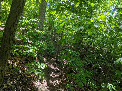 Nature Preserve «Turkey Hill Overlook Trail», reviews and photos, River Rd, Conestoga, PA 17516, USA